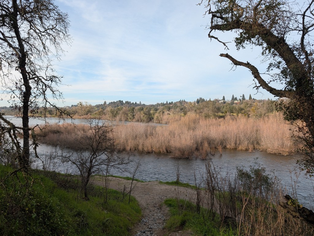 View of the American River, downstream from the Nimbus Dam