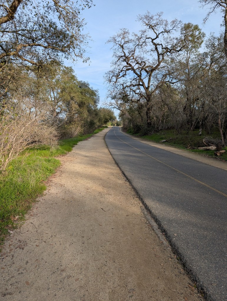 American River Bike Path