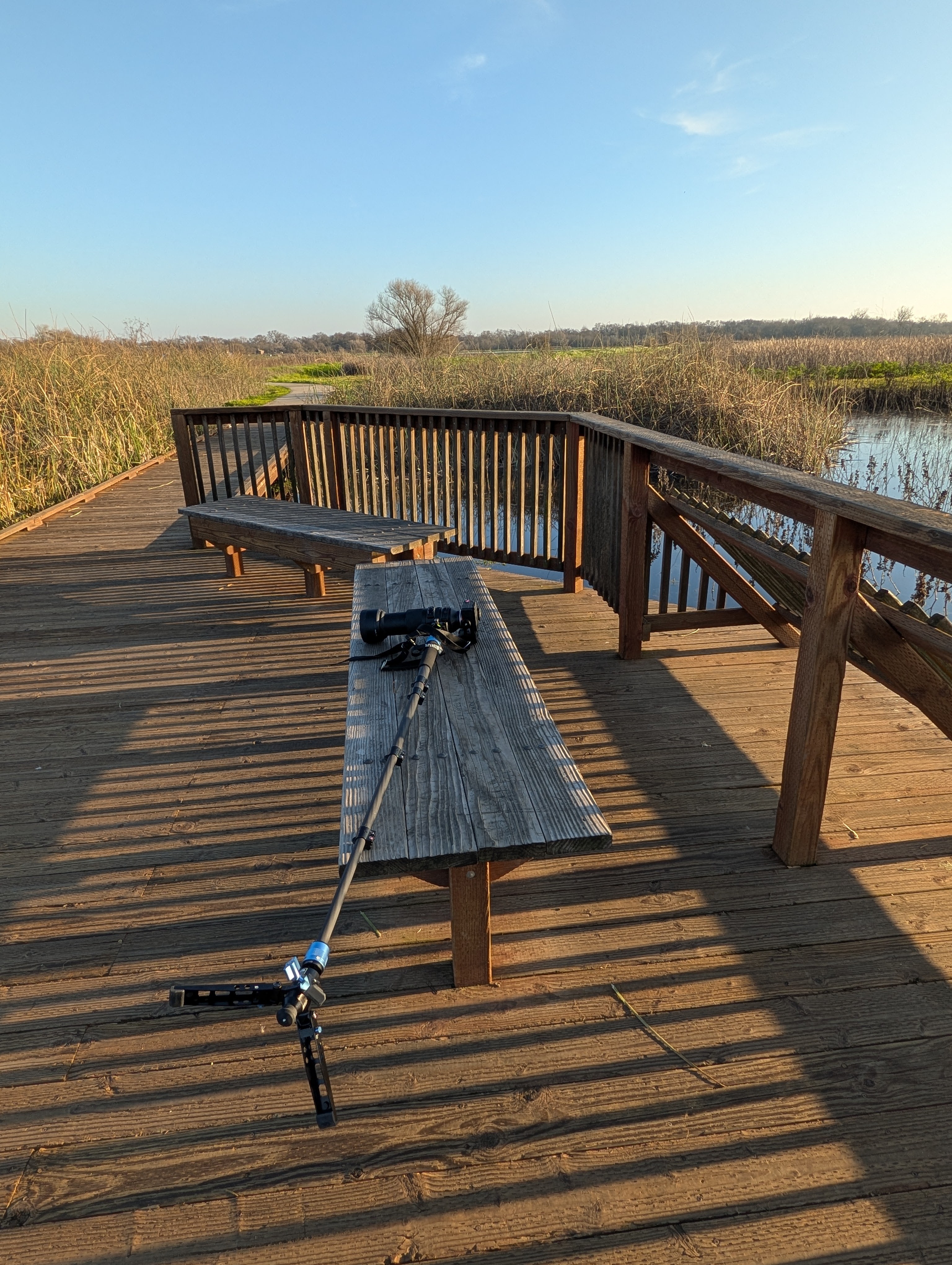 Viewing area at the Cosumnes River Preserve