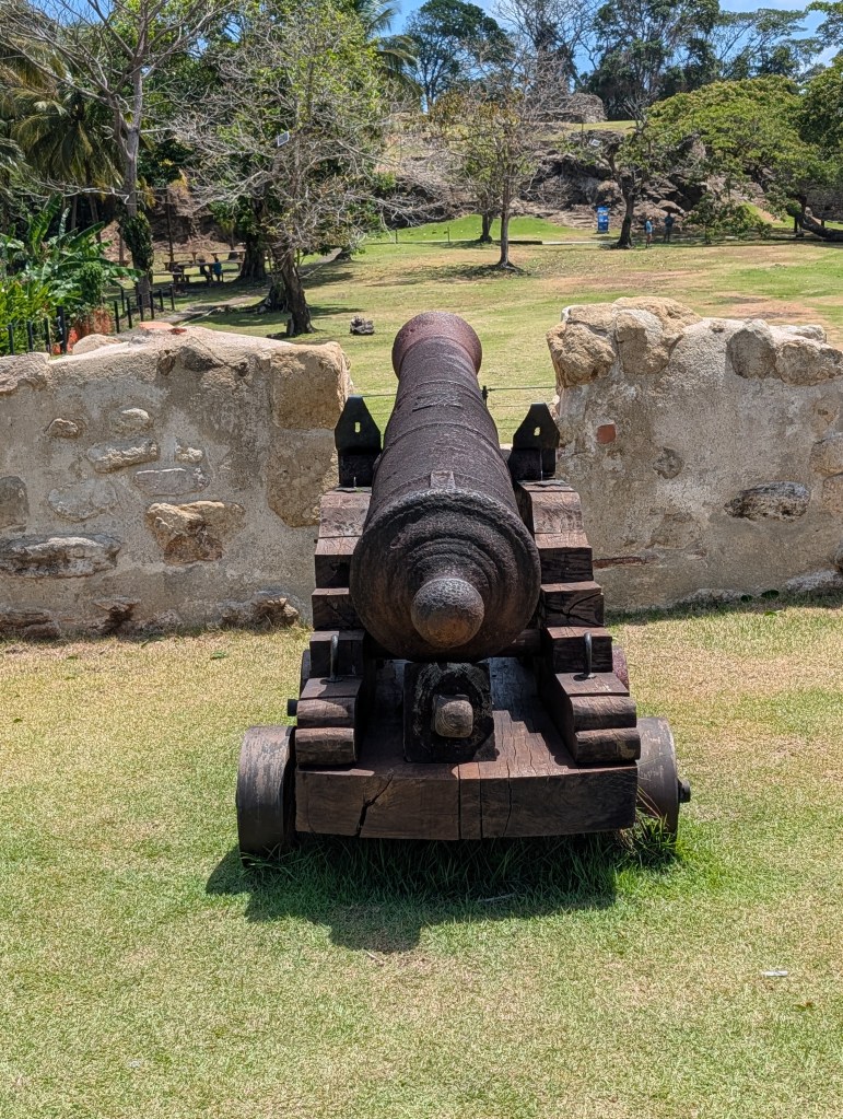 A vintage cannon positioned on a grassy area, facing a stone wall with greenery and trees in the background.