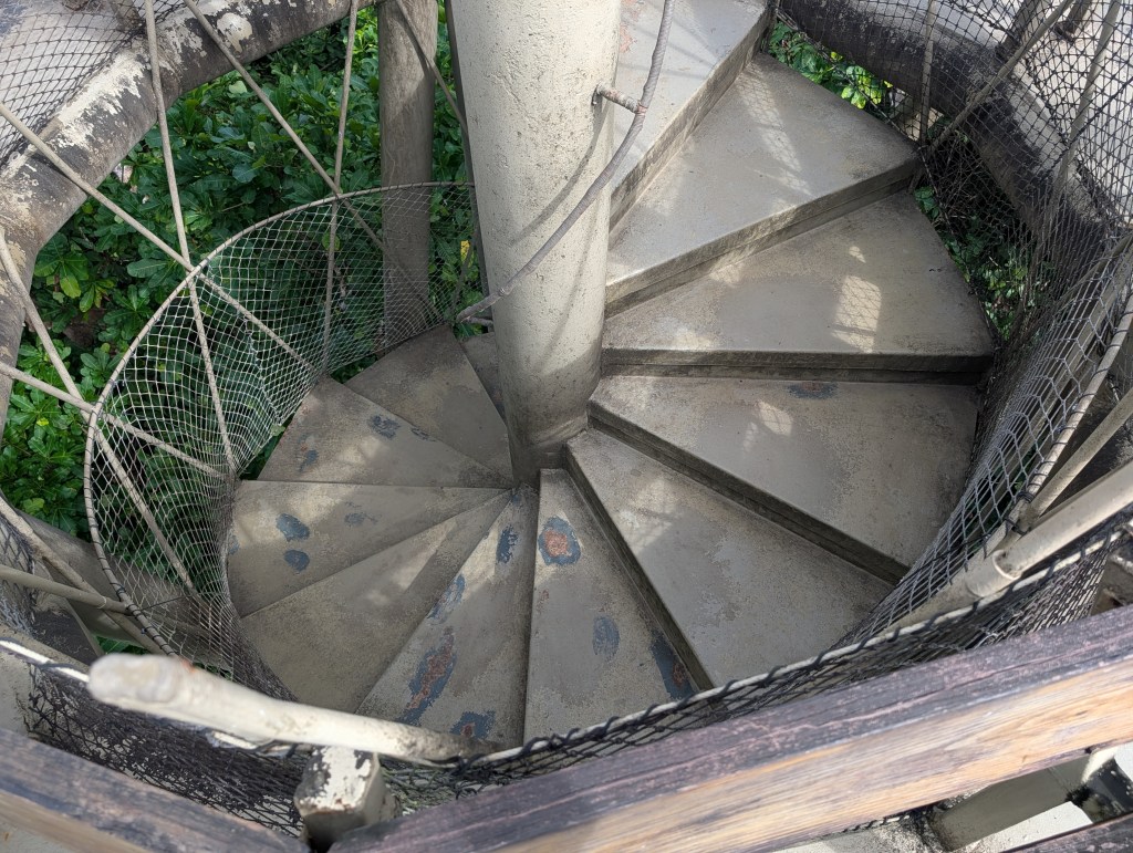 View of a spiral staircase with a concrete surface and a surrounding mesh railing, leading downwards, surrounded by greenery.