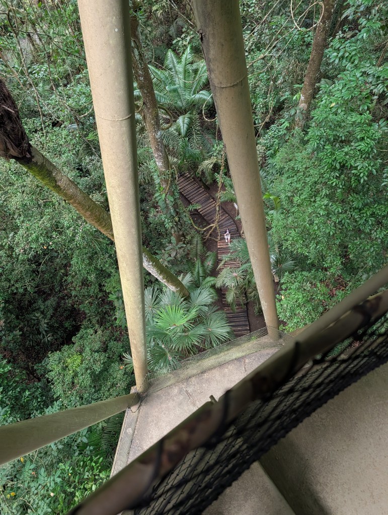View from a platform overlooking a dense green forest, with wooden pathways visible below and a person walking on the path.