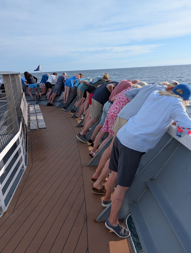A group of people leaning over the railing of a boat, looking out at the ocean, with a clear sky in the background.
