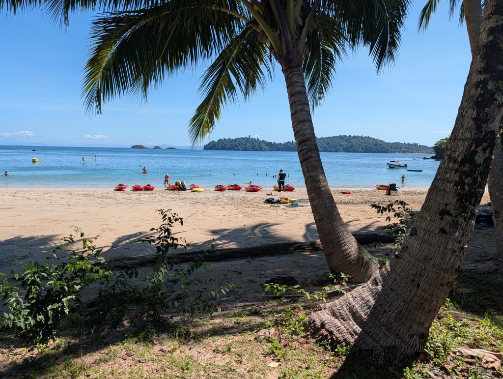 A scenic beach view with clear blue water, kayaks on the sand, and people enjoying various activities. Palm trees frame the foreground, with mountains in the distance.