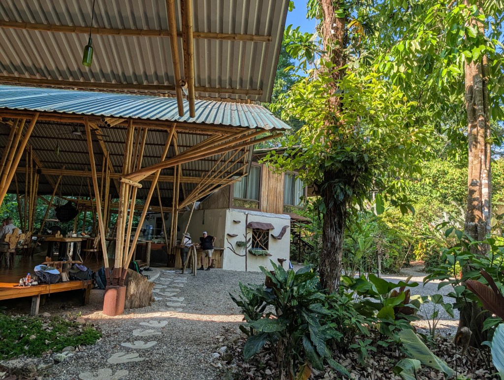 A bamboo structure with a metal roof, surrounded by lush greenery and tropical plants, featuring a pathway leading to the entrance. People can be seen inside the building, engaging in various activities.