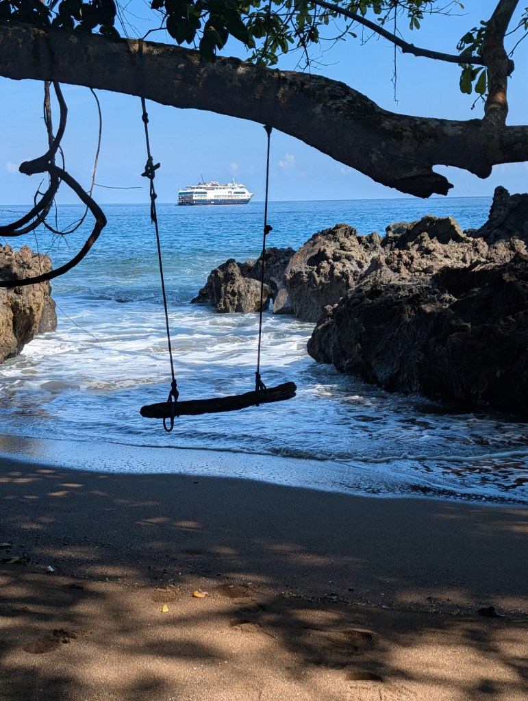 A wooden swing hanging from a tree overlooking a sandy beach with gentle ocean waves and a ship in the distance.