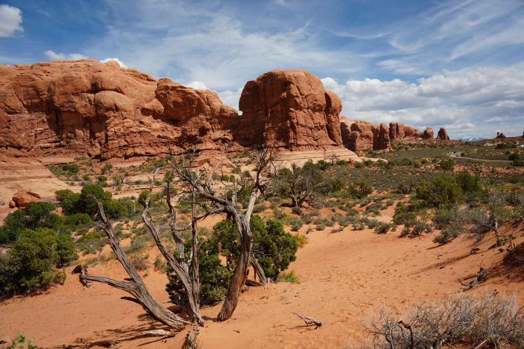 A desert landscape featuring red rock formations and sparse vegetation, with a gnarled tree in the foreground and a blue sky dotted with clouds.