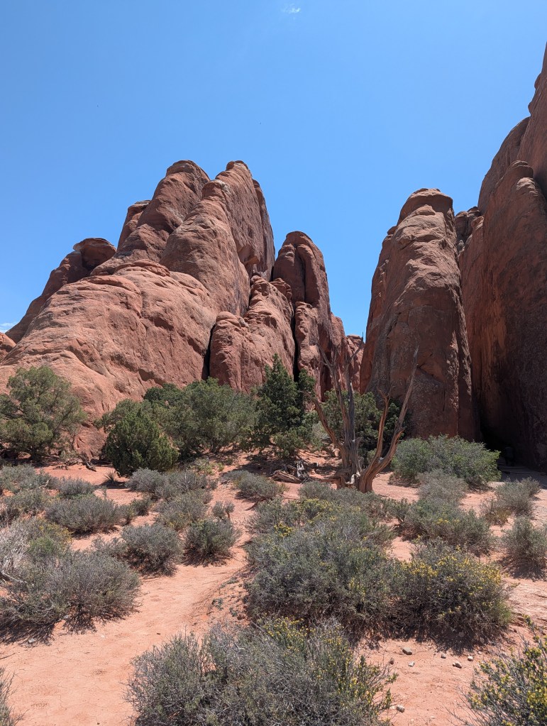 A landscape featuring tall red rock formations against a clear blue sky, with sparse vegetation and sandy ground in the foreground.