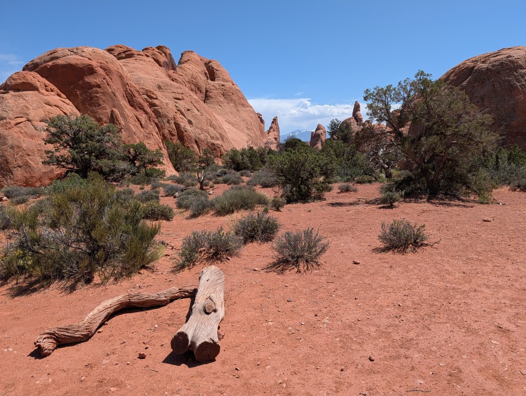 A desert landscape featuring red rock formations, scattered shrubs, and a fallen log in the foreground under a clear blue sky.