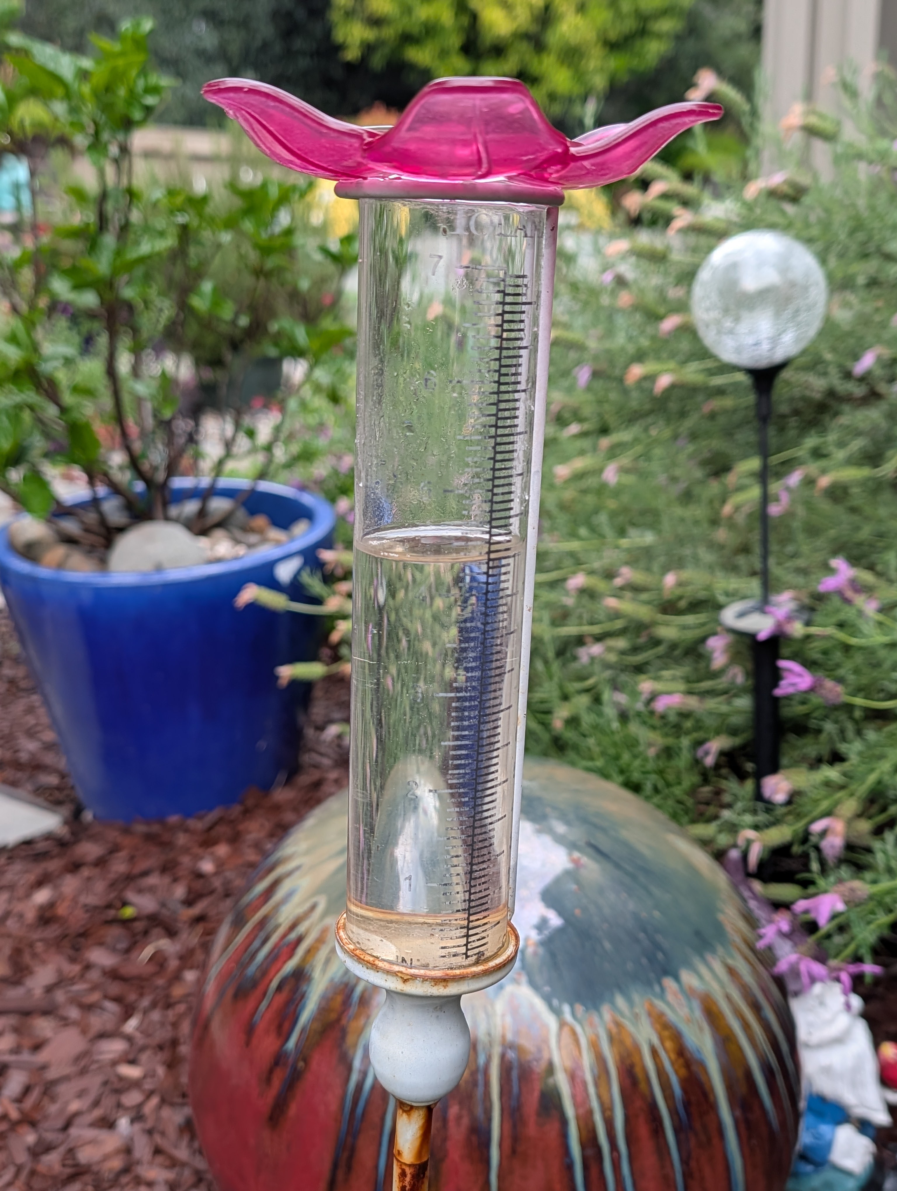 A clear glass rain gauge with a pink top, partially filled with water, set in a garden background featuring green foliage and decorative elements.