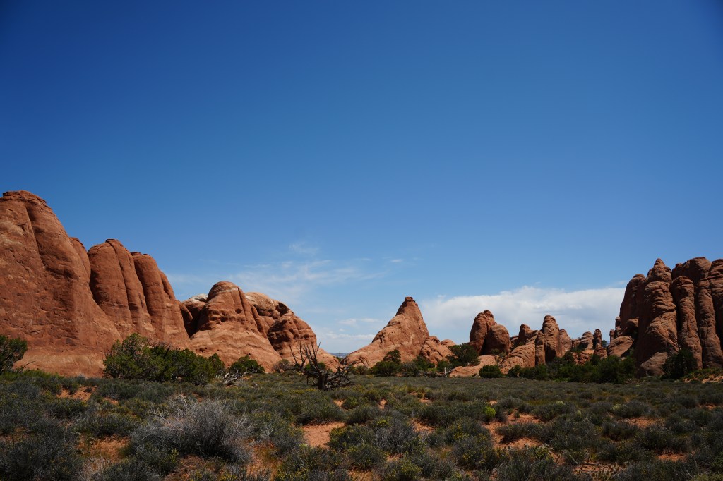 Scenic view of red rock formations under a clear blue sky, with desert vegetation in the foreground.