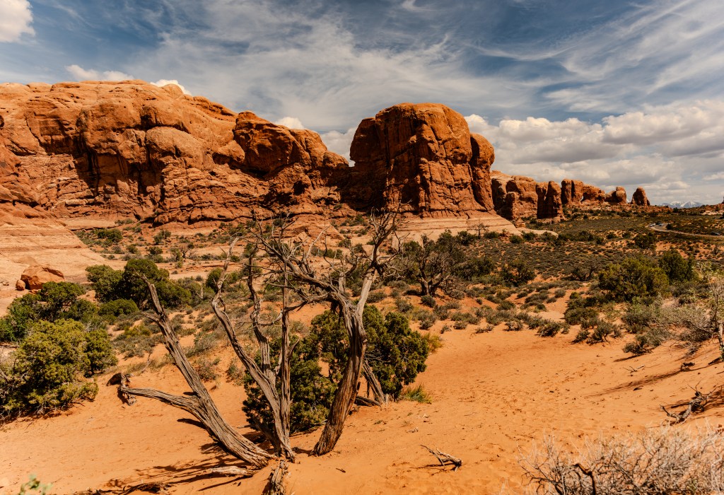 A desert landscape featuring red rock formations, sparse vegetation, and a sandy ground under a blue sky with fluffy clouds.