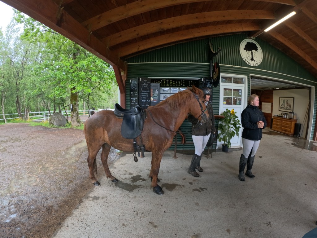A brown horse standing in a stable, with two riders in equestrian attire engaging in conversation. The stable features wooden beams, greenery outside, and a sign on the wall.