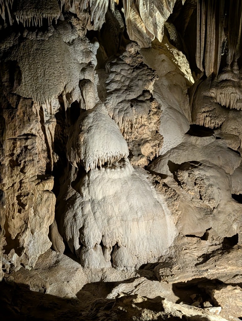 Close-up of limestone formations in a cave, featuring various shapes and textures of stalactites and stalagmites illuminated by soft lighting.