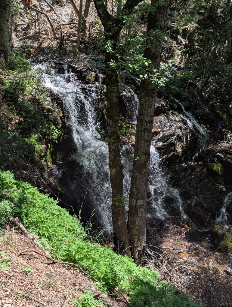 A small waterfall cascading over rocks surrounded by lush greenery and trees.