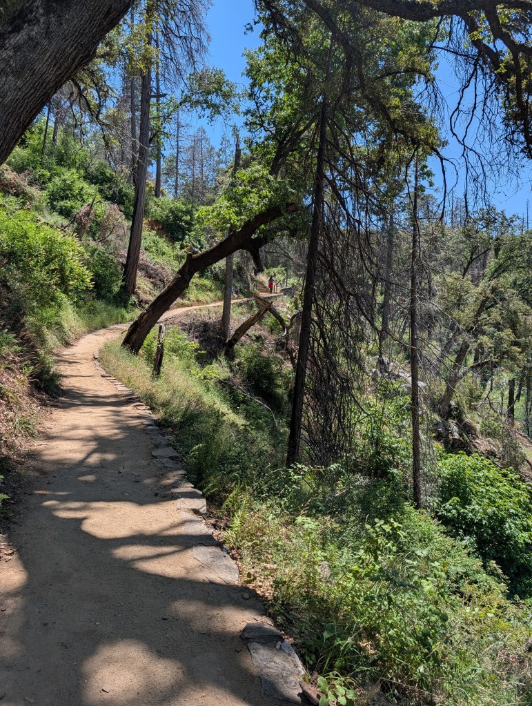 A winding dirt trail surrounded by greenery, with tall trees on either side and a glimpse of a person walking in the distance.