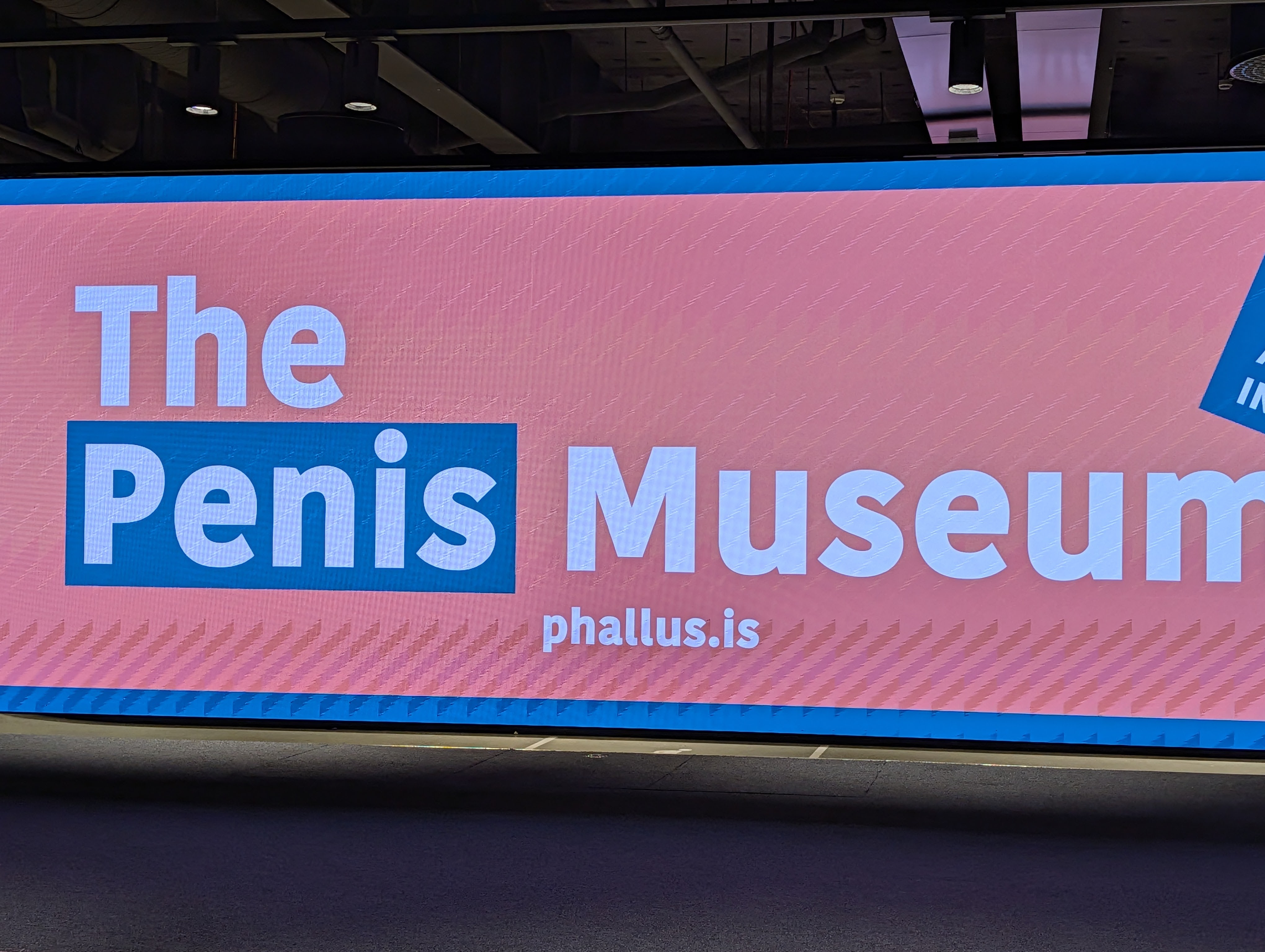 A vibrant sign displaying 'The Penis Museum' with the website phallus.is, set against a pink background.