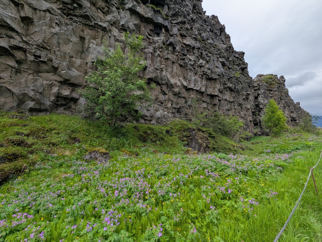 A scenic view of a rocky cliffside surrounded by lush green grass and colorful wildflowers in a natural landscape.