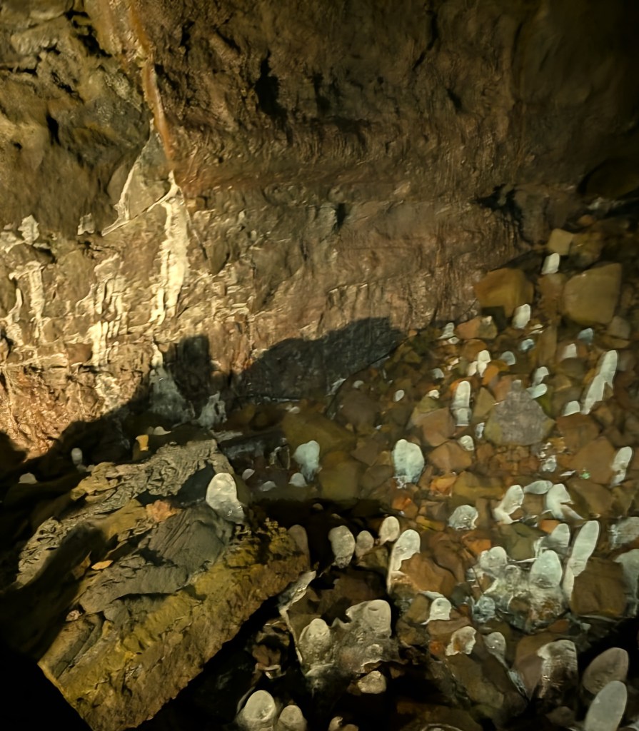 An underground cave interior with rocky terrain, featuring various mineral formations and shadows cast on the walls.