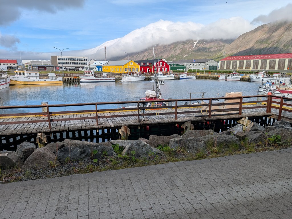 A scenic view of a harbor with various fishing boats docked, surrounded by colorful buildings and mountains under a cloudy sky.