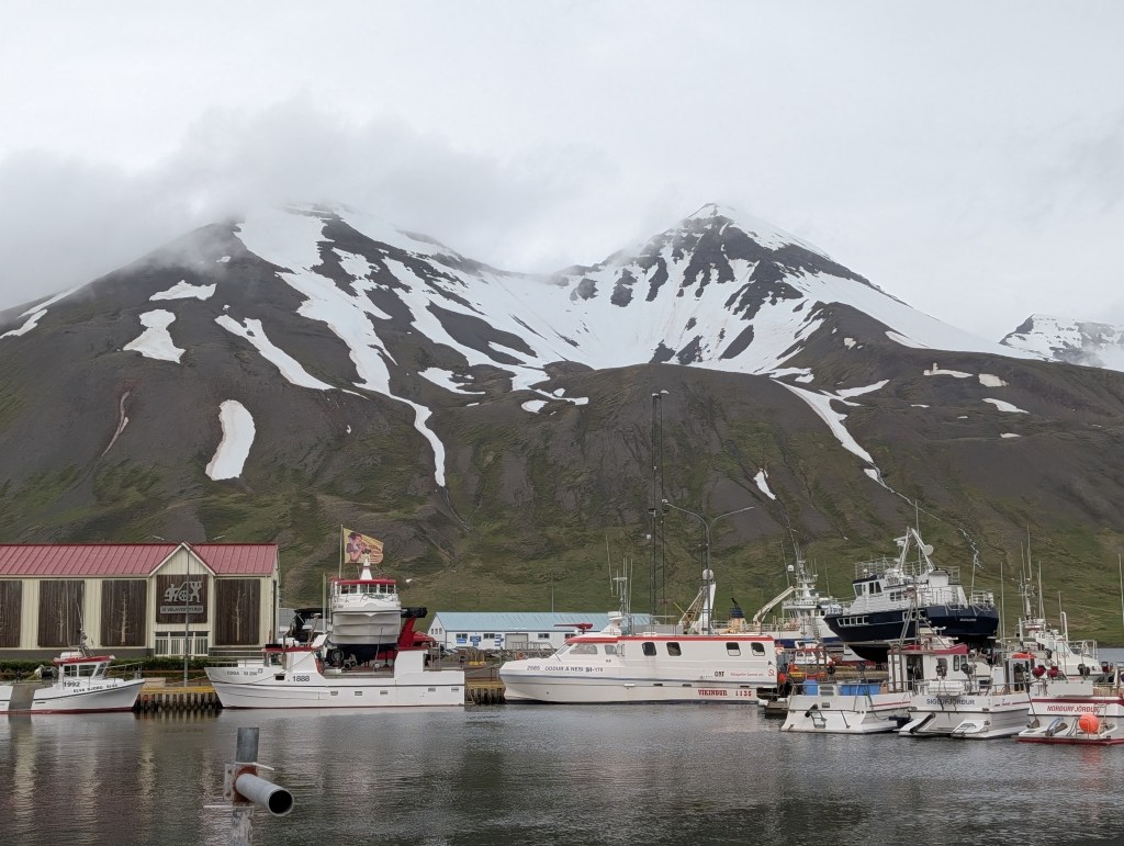 Harbor scene with various boats docked in front of a steep, snow-capped mountain under a cloudy sky.