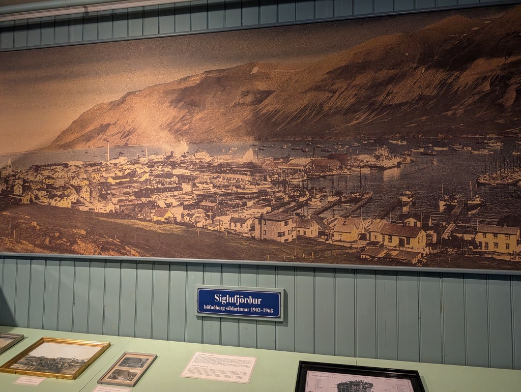Historical panoramic image of Siglufjörður, showcasing the town and harbor with mountains in the background, displayed in a museum setting.