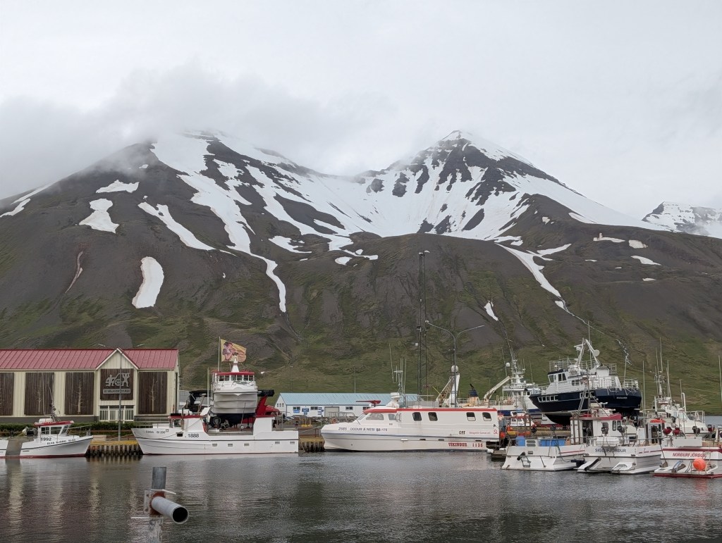 Harbor scene with several boats docked at the water's edge, surrounded by a steep mountain covered in snow and mist.