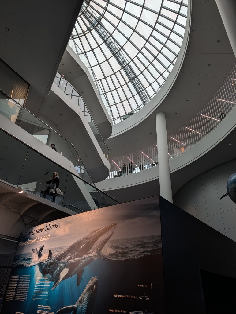 Interior view of a modern building showcasing a large glass dome ceiling, with artistic displays of whales around Iceland on the wall and visitors observing from the balcony above.